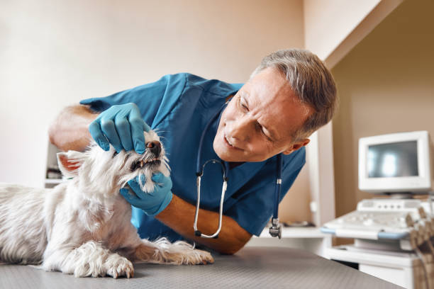 Best Broken Tooth Emergency  in Savannah, TN